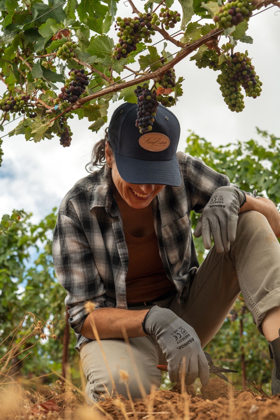 Vineyard worker in a King Estate cap kneeling under grapevines